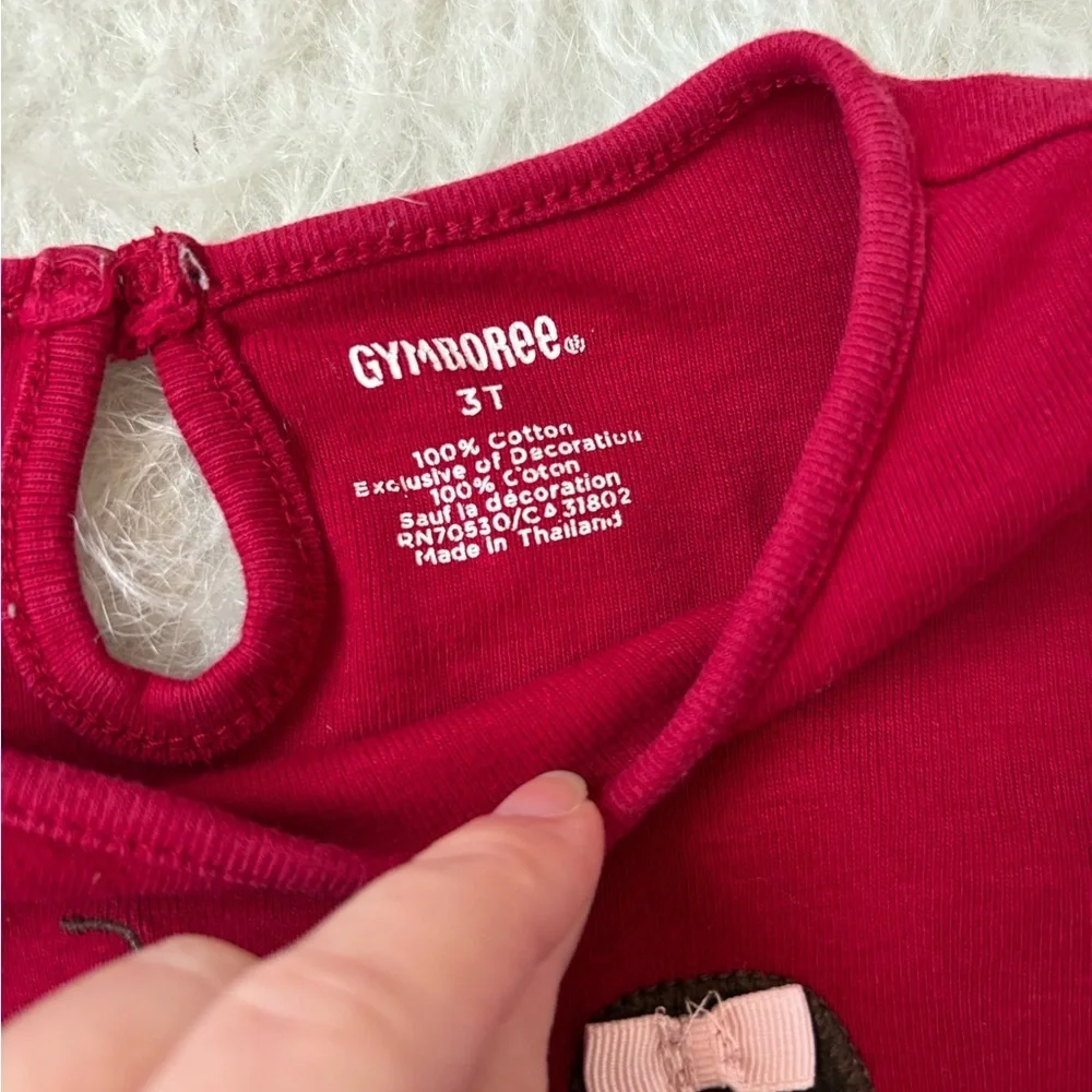 Gymboree set 100%